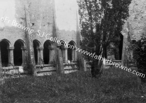 ABBEY CLOISTERS E. SIDE WITH YEW TREE